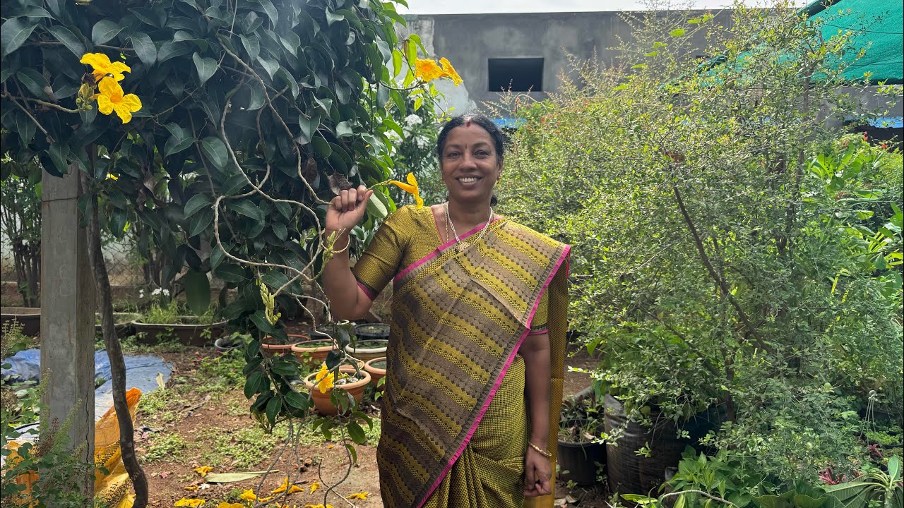 இந்த முறை கோயமுத்தூரில் என்ன வாங்கினேன்!!😅😅😅