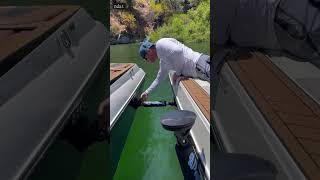 video 7624736181754442650