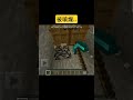 黑歷史無誤😭 #minecraft #mcbe