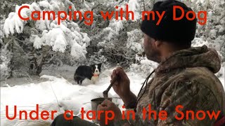 Winter Camping - Tarp, sleeping bag and dog