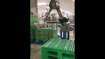Robot Egg De Palletizer
