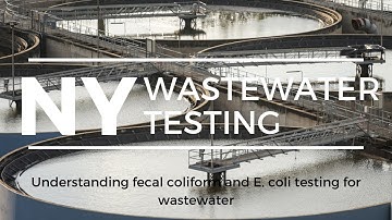 Understanding fecal coliforms and E  coli testing for wastewater in the state of New York