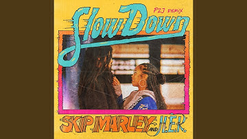Slow Down (P2J Remix)