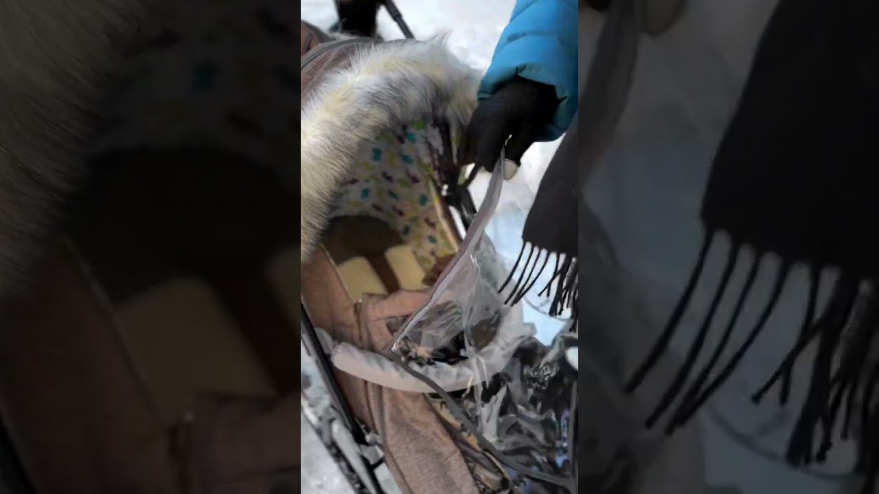 Galaxy Nova санки-коляски, видеообзор