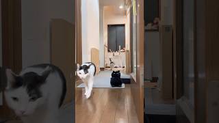 March 29, 2026 Rushing down the stairs