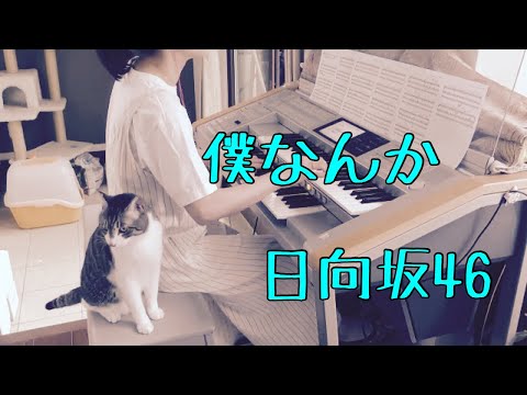 僕なんか  / 日向坂46