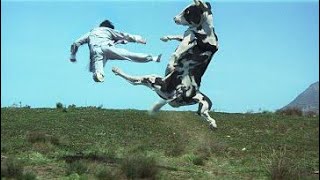 Kung Pow: Enter the Fist  Movie CLIP - Cow Fight (2002) HD