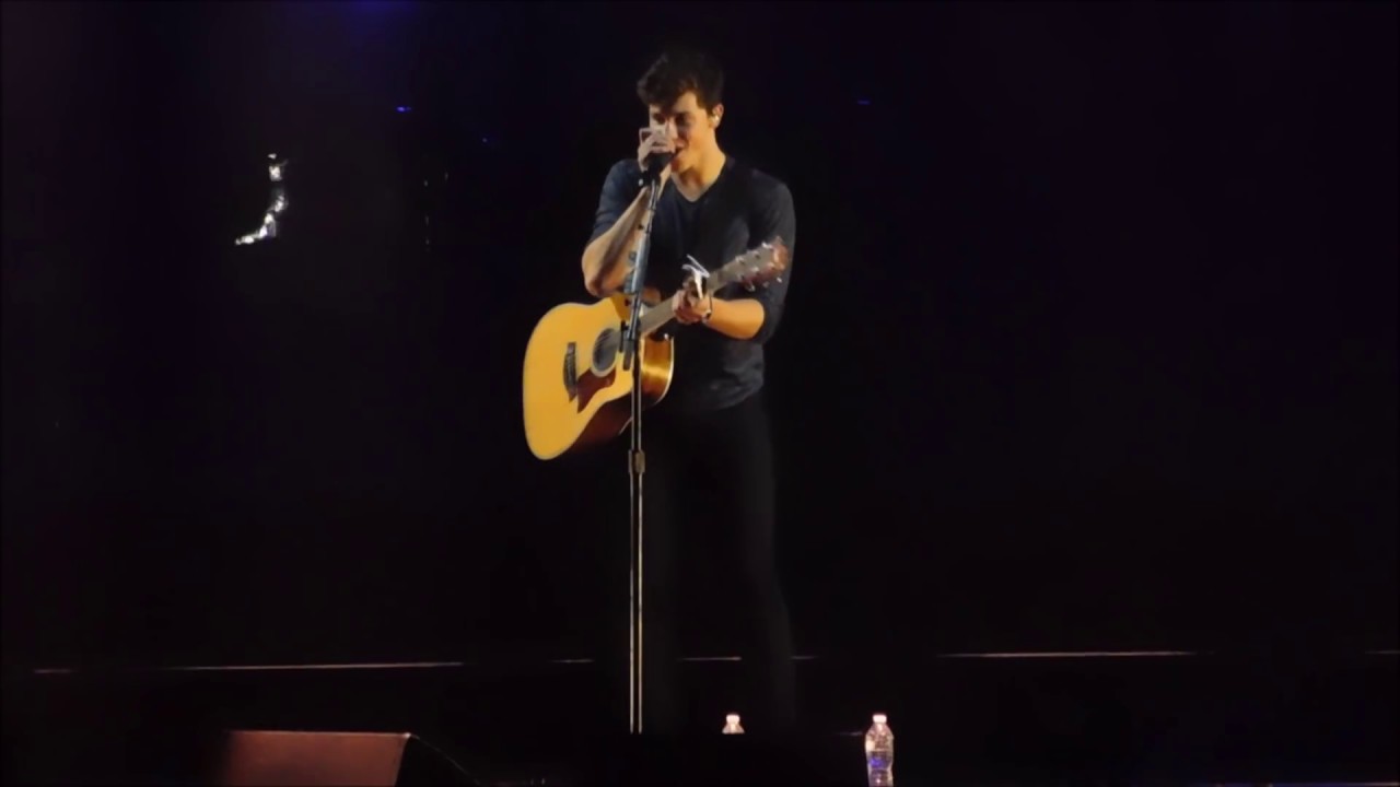 Shawn Mendes Handwritten Medley (Live at Madison Square Garden) YouTube