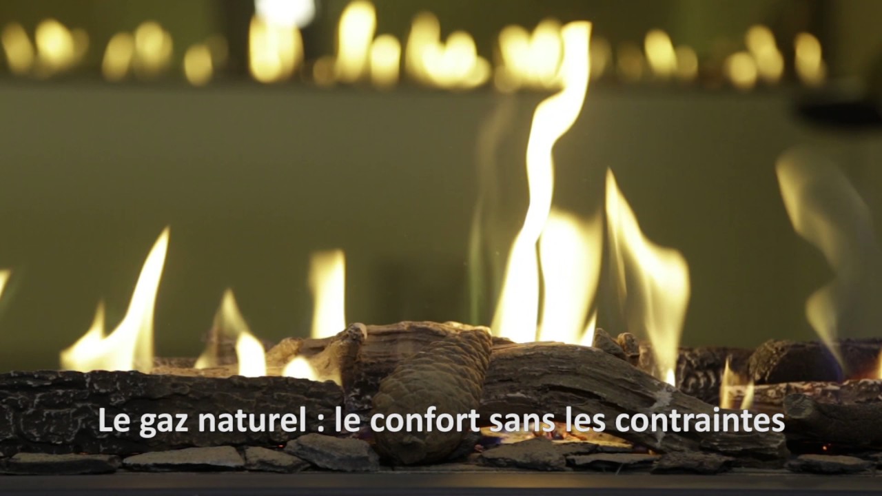 showroom element bike