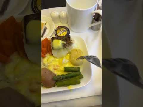 پرواز بیزینس امارات از تهران به دبی و آمستردام