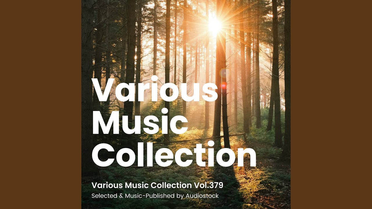 Watch Solid Lance on YouTube Watch Solid Lance on YouTube