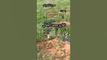 سورة الأعراف بصوت د القارئ محمد الجلالي تلاوة خاشعة ماشاءالله 💯♥️🇲🇦.                   #سورةالاعراف