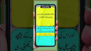 Surah Alqasas Part3 Ayat 1013 shortfeed shorts  quran ytshorts tiktok snack islam 2022