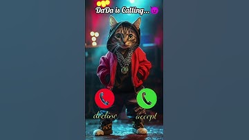 DaDa is calling Cute cat video #funny #cat #catlover #video