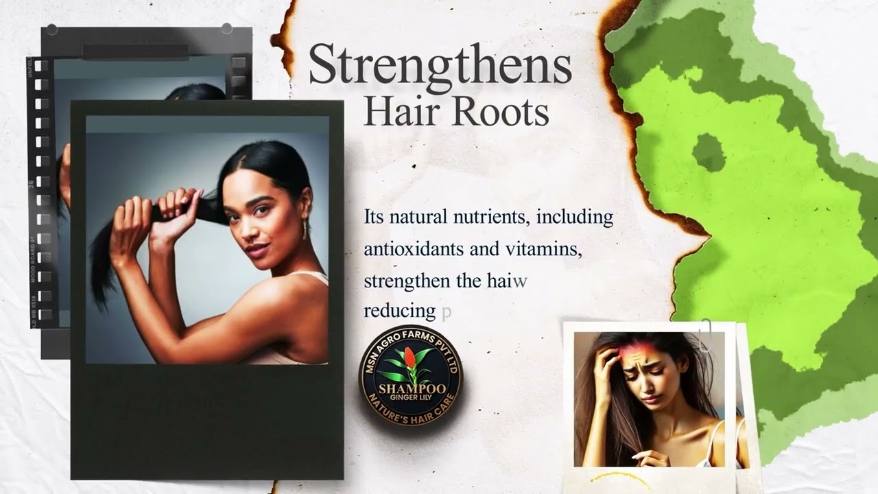 𝙎𝙝𝙖𝙢𝙥𝙤𝙤 𝙂𝙞𝙣𝙜𝙚𝙧 𝙇𝙞𝙡𝙮 – 𝙉𝙖𝙩𝙪𝙧𝙚’𝙨 𝙃𝙖𝙞𝙧 𝘾𝙖𝙧𝙚 𝙎𝙤𝙡𝙪𝙩𝙞𝙤𝙣