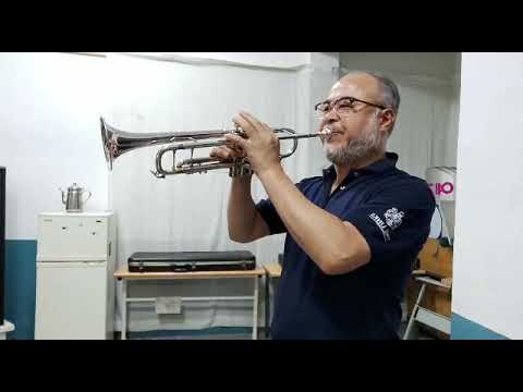 밤하늘의부루스