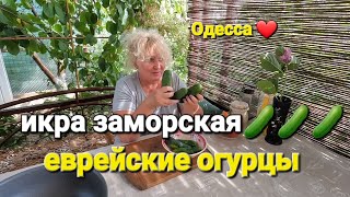 ОДЕССА ❤️ ЭТОТ РЕЦЕПТ ПОКОРИТ ТЕБЯ❗️огурцовая намазка❗️В МОРЕ ОПАСНО❗️