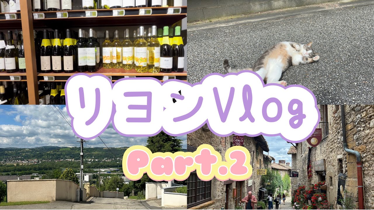 【リヨンVlog🇫🇷】ワーホリ/ペルージュ観光/モノプリでお買い物/リヨン郊外でお散歩/猫ちゃんとの出会い/Pérouges