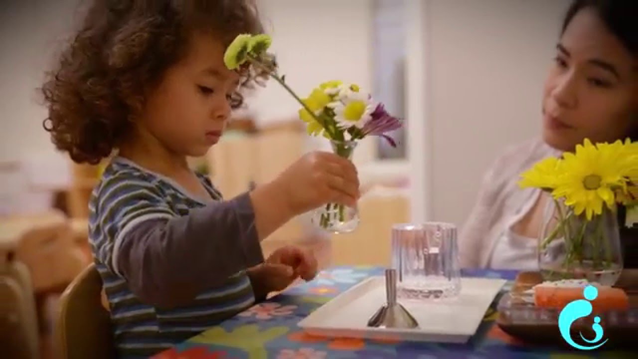 Montessori Parent-Toddler Program