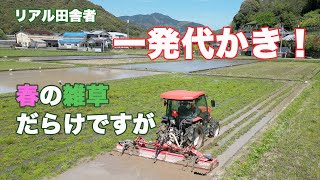 雑草だらけの田んぼを「一発代かき」〜コシヒカリ