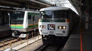 特急踊り子185さん専用 TOMIX】185系 踊り子（強化型スカート）2024年10月発売 | モケイテツ