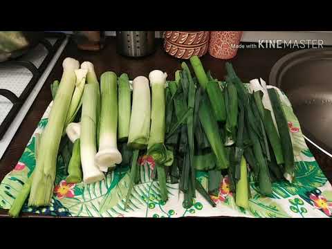ЛУК-ПОРЕЙ. СУШИМ и МОРОЗИМ/Заготовки  на Зиму/рецепты На глазок/