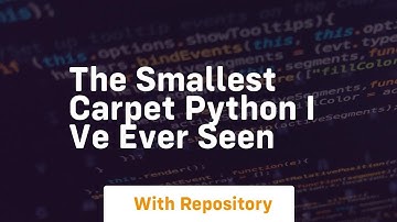 The smallest carpet python i ve ever seen