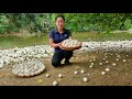 Life alone harvesting duck eggs goes to the market to sell  cooking  trieu mai huong