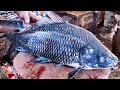 Rare Coal Black Rohu Fish Cutting in Bangladesh Fish Market | Fish Cutting Skills