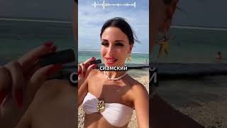 Путешествия по миру  #travel #платипомиру #путешествия