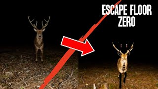 THERE IS SOMETHING EVIL IN THIS FOREST!! - ESCAPE FLOOR ZERO