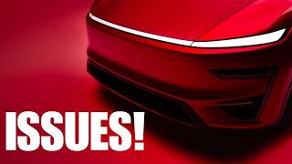 Model Y has a Paint Issue (how to prevent)