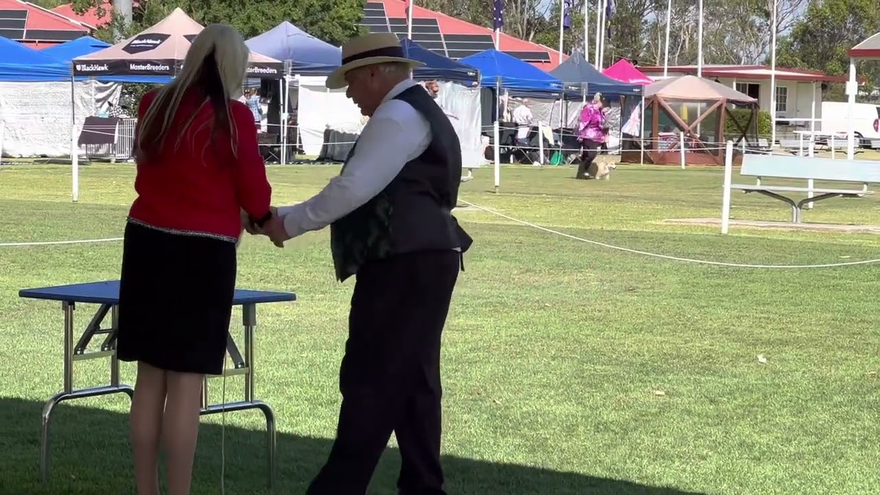 St George District Championship Show (White) Saturday 3rd December 2022 - Pug Puppy Dog Class