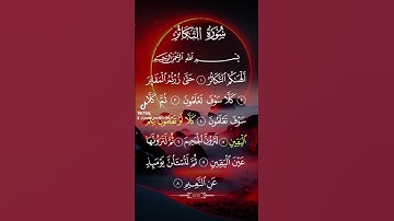 سورة التكاثر|الشيخ جمال مصطفي #القرآن_الكريم #quran #قرآن