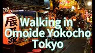 Walking in Omoide Yokocho Tokyo