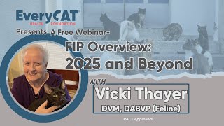 FIP Overview 2025 and Beyond - YouTube