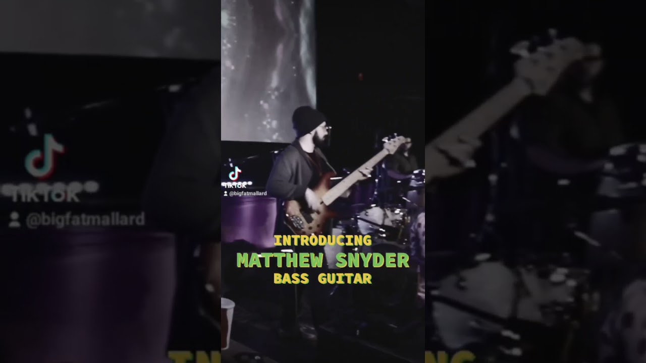 Introducing Matthew Snyder | Bass Guitar | Big Fat Mallard