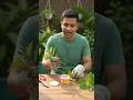 Hibiscus cutting grow 🪴 | #hibiscus #cutting #growth #shortsfeed #ytshorts #yt