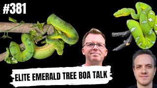 Breeding Northern Emerald Tree Boa's Successfully