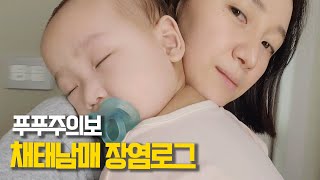 비상비상~ 채태남매 푸푸주의보!!