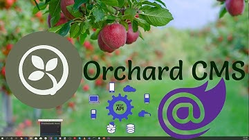 Blazor and Orchard Core REST API/GraphQL