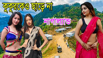 নাগাল্যান্ড | ভারতের অদ্ভুত এক রাজ্য মেয়েরা কুকুরকেও ছাড়েনা দেখলে অবাক হবে | Facts About Nagaland