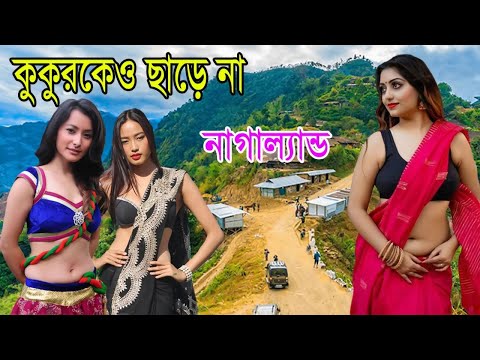 ভিডিও: বিশ্বের সবচেয়ে সুন্দরী কাজাখ নারী। শীর্ষ 10 সবচেয়ে সুন্দর কাজাখ মহিলা