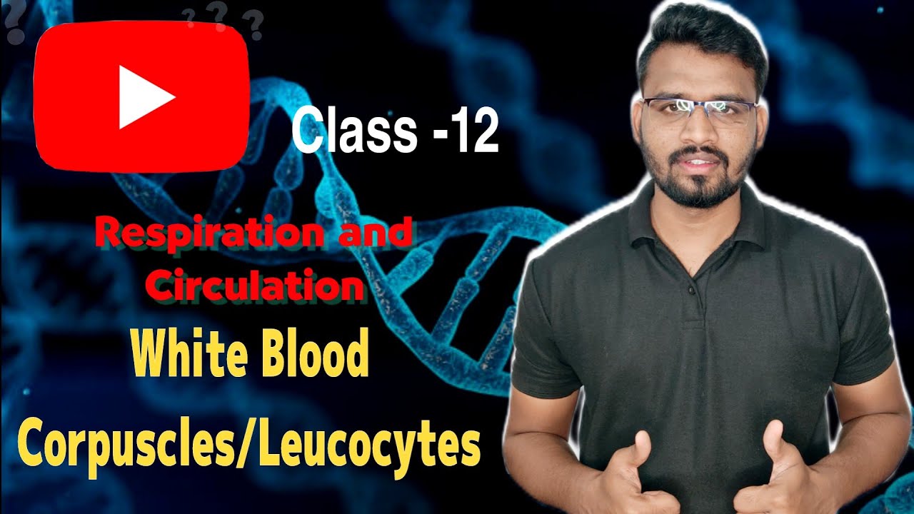 White Blood Corpuscles | Leucocyte | Respiration and Circulation | Avinash sir | Trending