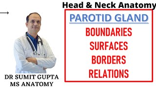 PAROTID GLAND (Part-1) || Surfaces || Borders || Relations ||