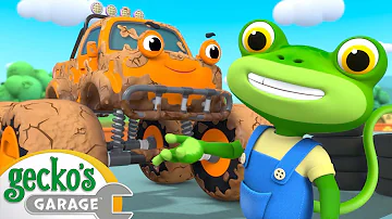 Max & Molly Mudbath | Gecko's Garage | Fun Kids Cartoon | Kids Videos