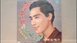 舊皮箱的流浪兒   林峰