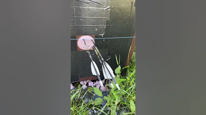 Fusion X-ii vanes from 2” to 3”