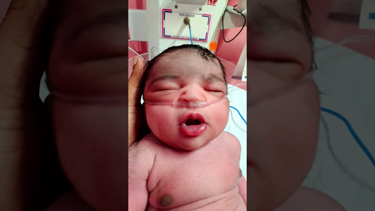 Cute Baby Like Hungry Birds 