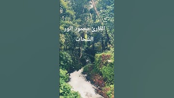 القرآن الكريم #اكسبلور #المصحف #تلاوات_رائعة #لايك